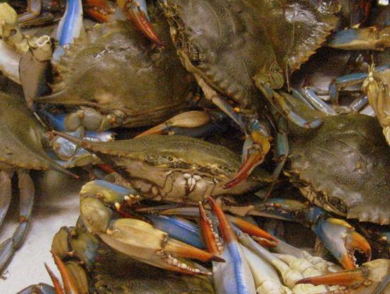 Live crabs at Nguyen Loi Oriental Supermarket in Haltom City, Texas