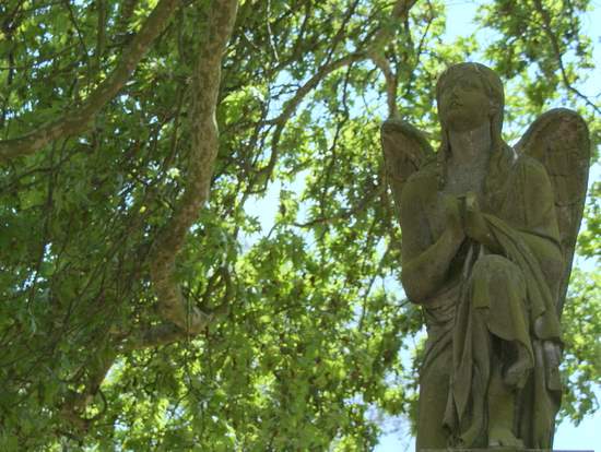 An angel at Kensal Green Cemetery peers through the trees. (photo by Tui Snider)