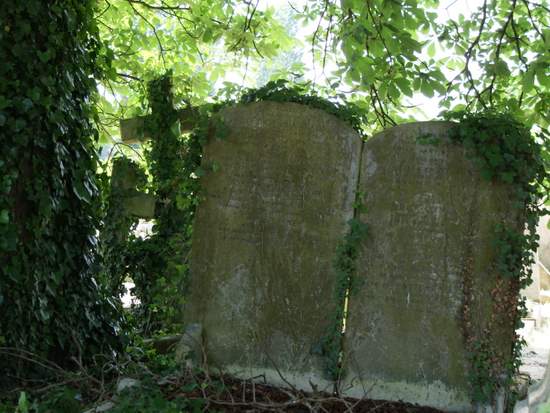 Parts of Kensal Green Cemetery are overgrown. (photo by Tui Snider)