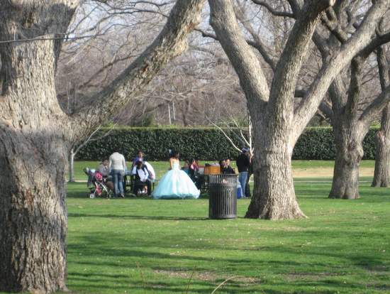 Family picnic at the Dallas Arboretum. (photo by Tui Snider)