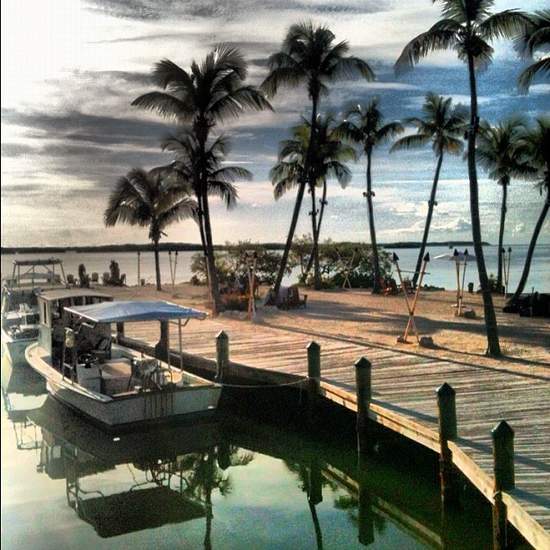 Sunset & palm trees along the Florida Keys (photo by Tui Snider)