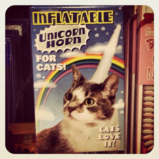 Inflatable unicorn horn for cats. (photo by Tui Snider)