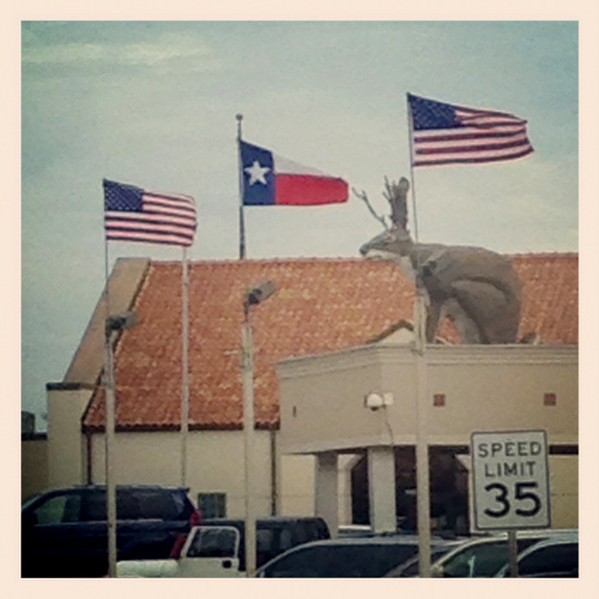 Rooftop Jackalope in Fort Worth, TX (photo by Tui Snider)