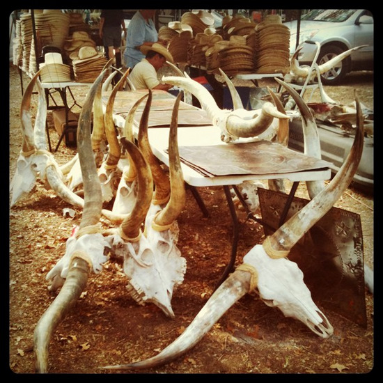 Longhorn Skulls for sale at Antique Alley Texas (photo by Tui Snider)