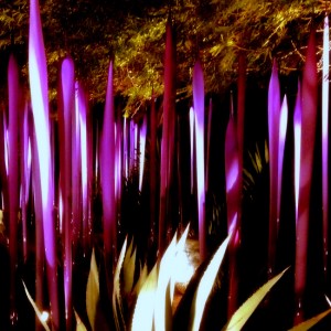 Chihuly Lights at the Desert Botanical Garden in Arizona (photo by Tui Snider)