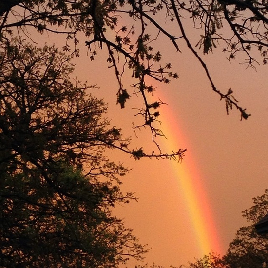 Yellow sky with rainbow (photo by Tui Snider)