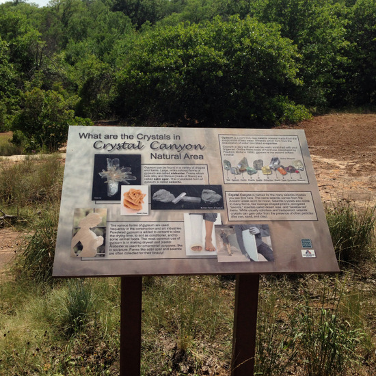 Is Arlington's Crystal Canyon Natural Area haunted? (photo by Tui Snider)