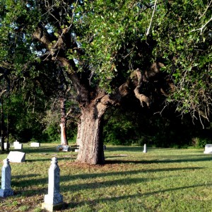 Historic Veal Station Cemetery in Springtown, Texas (photo by Tui Snider)