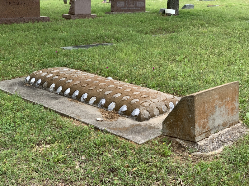 Seashell mounded grave. (photo (c) Tui Snider)